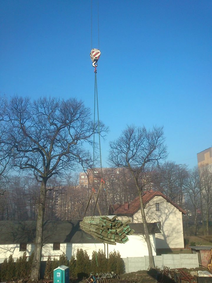 1619563_406824336128957_929261417_n