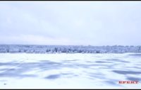 IMG_8162