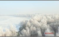 IMG_8164